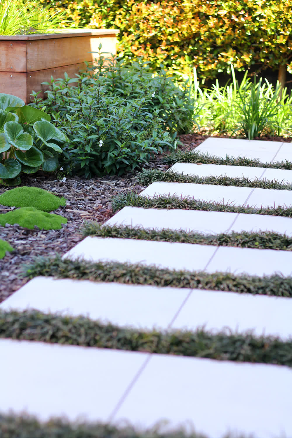 Low angle of stepping pavers through bark mulch
